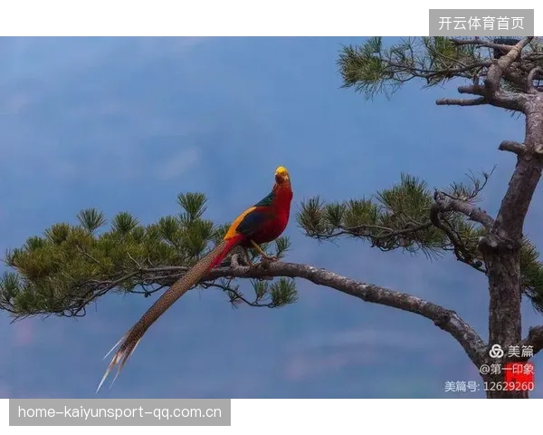 火烈鸟造型太特别！如何让你的服装、装饰与世界同频共振？